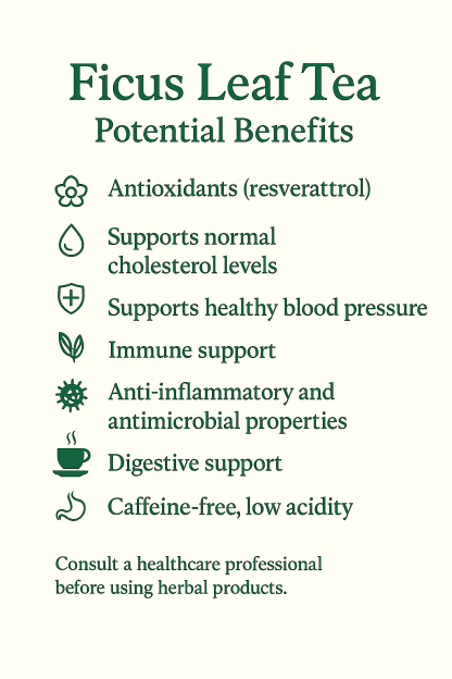 Bio Ficus Leaf Tea